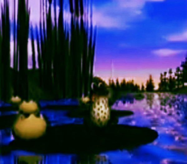 Amphibian Life