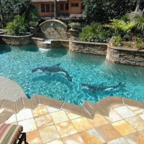 Orca.zip