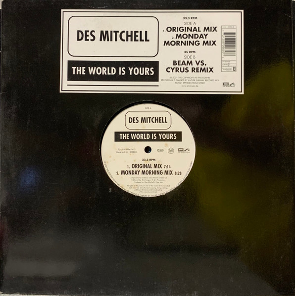The World Is Yours