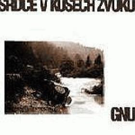 Srdce V Kusech Zvuku