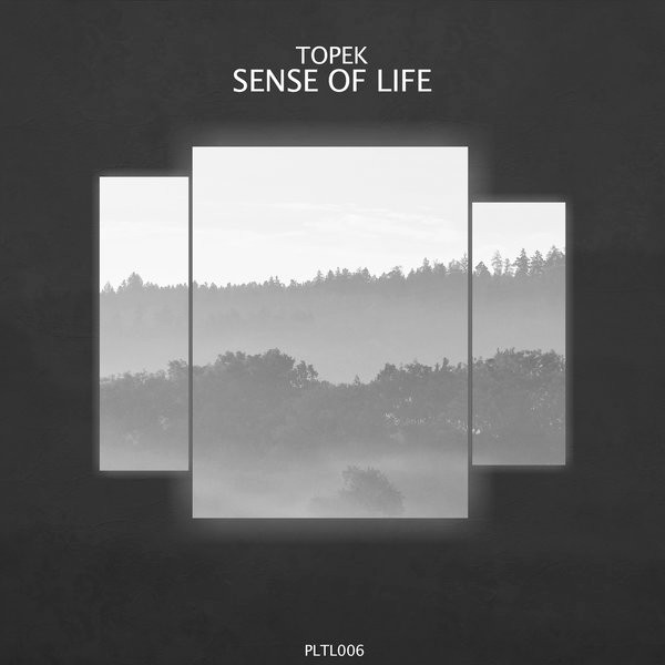 Sense Of Life