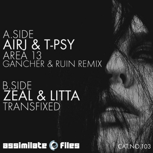 Area 13 (Gancher & Ruin Remix) / Transfixed