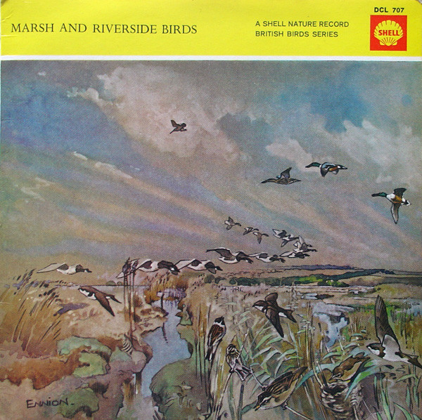 Marsh And Riverside Birds