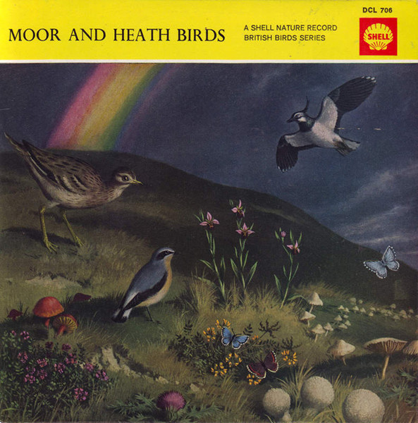 Moor And Heath Birds