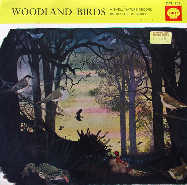 Woodland Birds