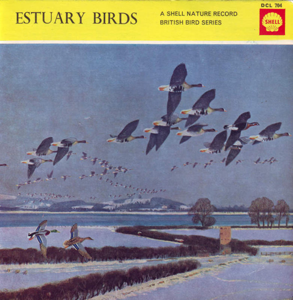 Estuary Birds