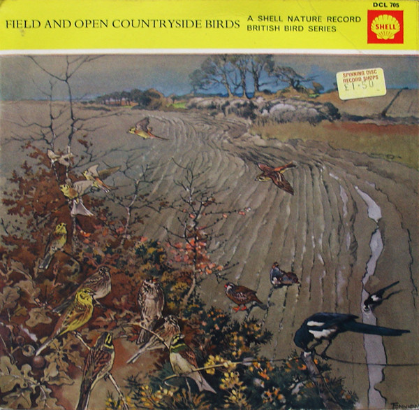Field And Open Countryside Birds