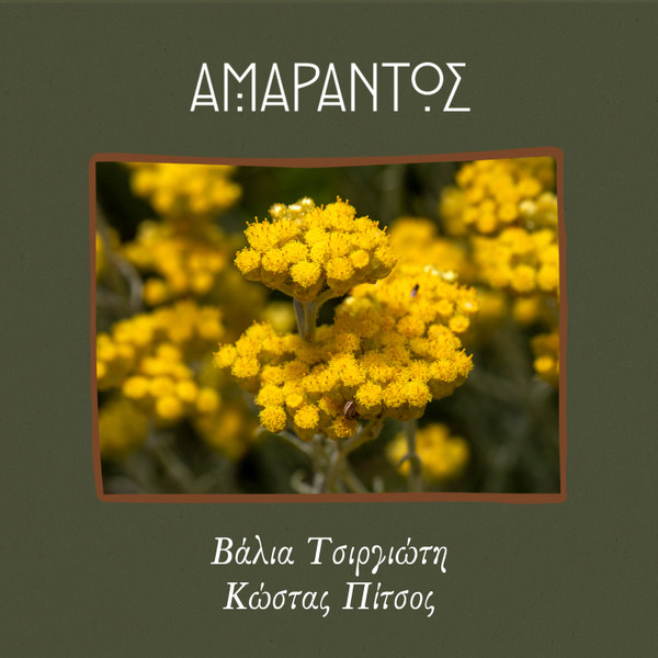 Αμάραντος