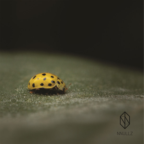 NLZ025