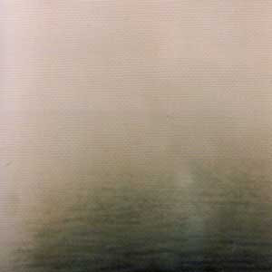 In Sea Land
