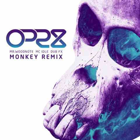 Mr Woodnote Remixes