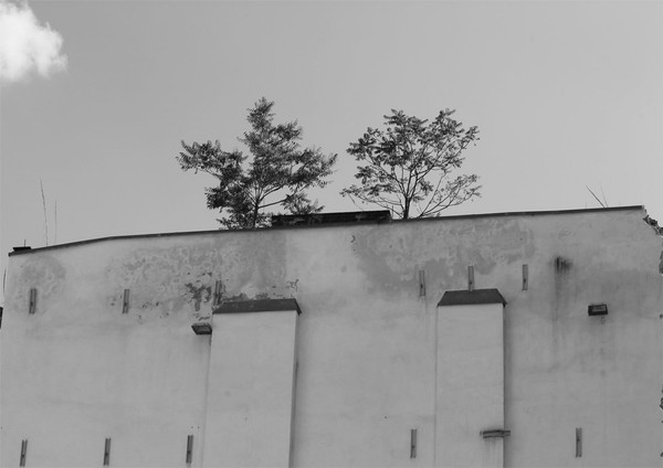 Pragmat & BLD Tape Recordings
