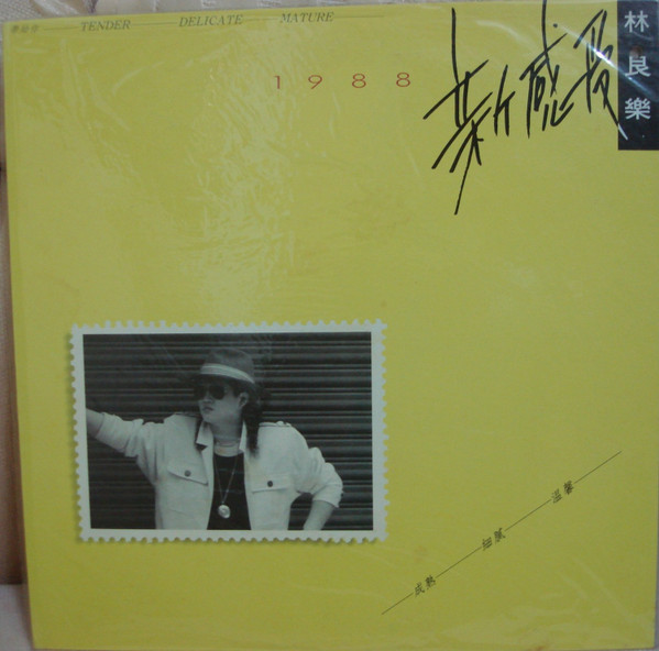 1988新感受