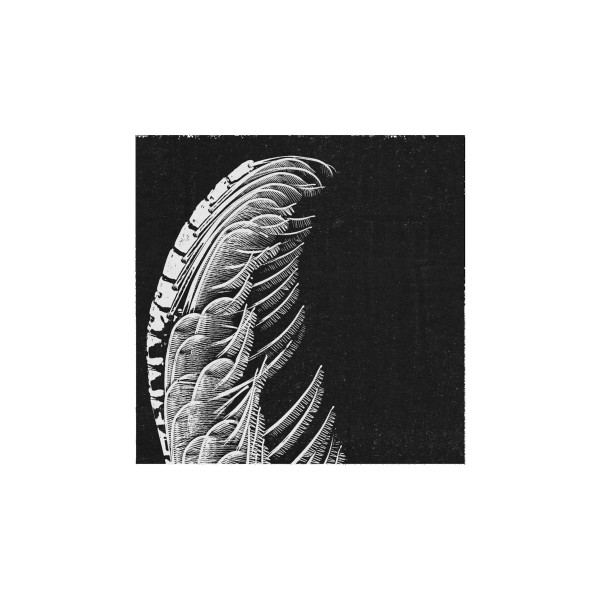 Trilobite / ...And I Was There Too