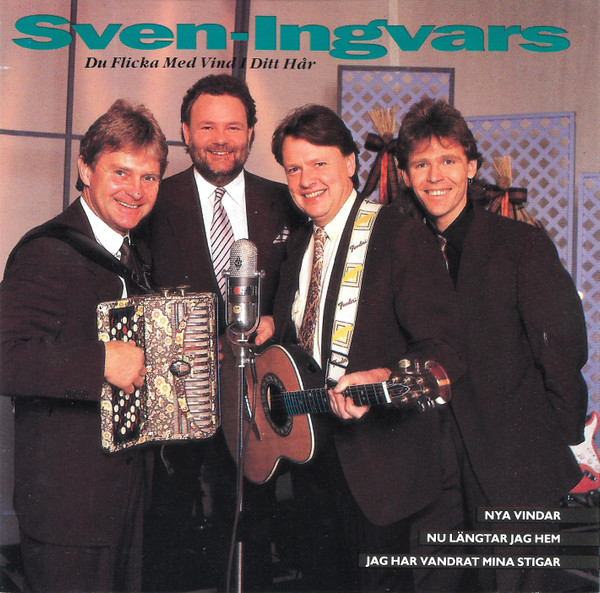 Du Flicka Med Vind I Ditt Hår
