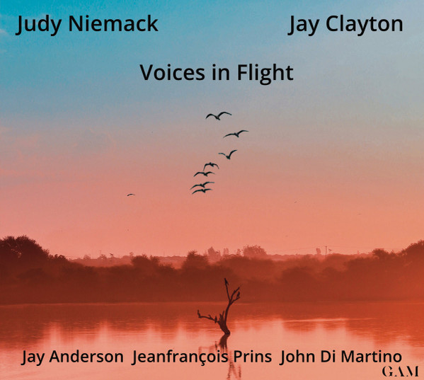 Voices In Flight