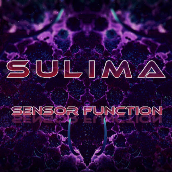 Sensor Function