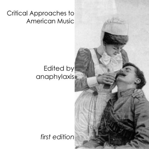 Critical Approaches To American Music