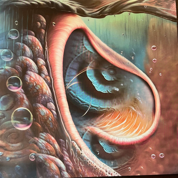 Meddle Reimagined - A Tribute To Pink Floyd