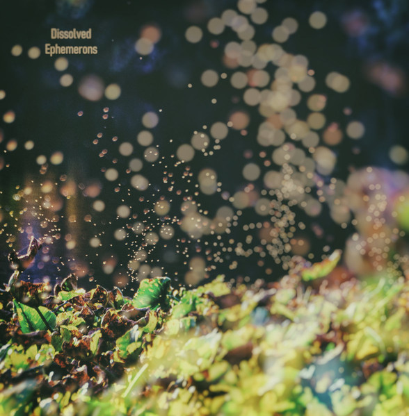 Ephemerons