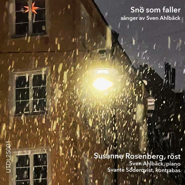 Snö Som Faller