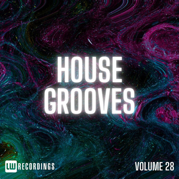 House Grooves, Vol 28
