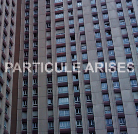 Particule Arises