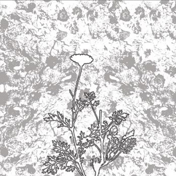 The Chrysanthemum Pledge