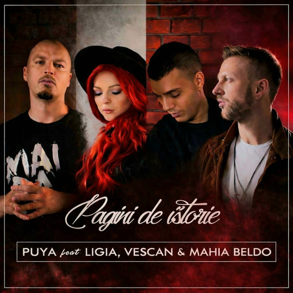Pagini De Istorie