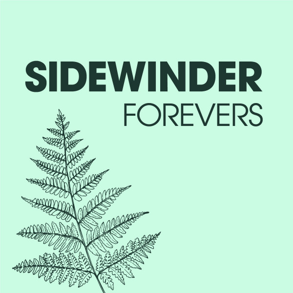 Sidewinder
