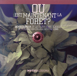 Où Est Maintenant La Forêt ?