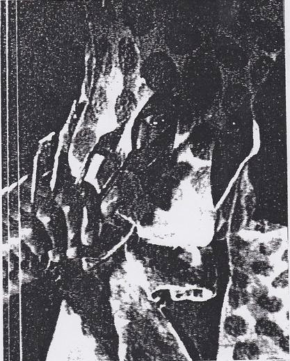 Demo I