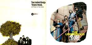 The Underdogs Blues Band and Beyond