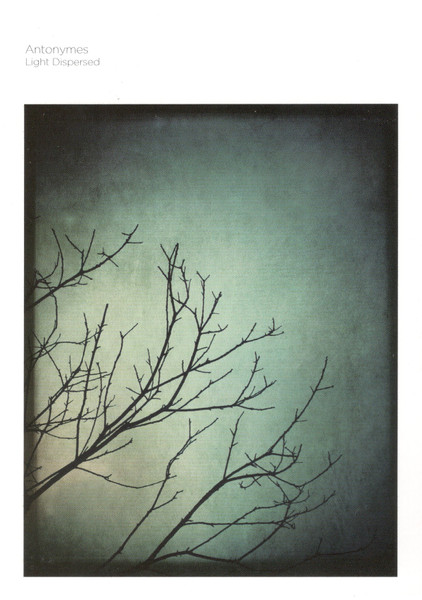 Light Dispersed