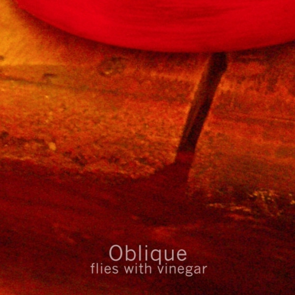 Flies With Vinegar
