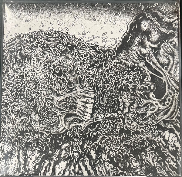 Putrefaction Sets-In / FesterDecay