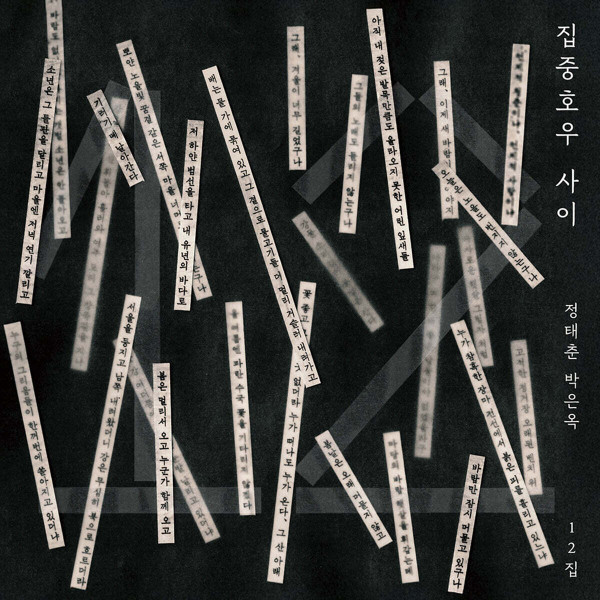 12집 집중호우 사이