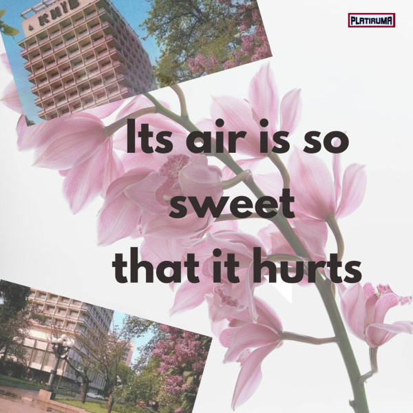 Its Air Is So Sweet That It Hurts