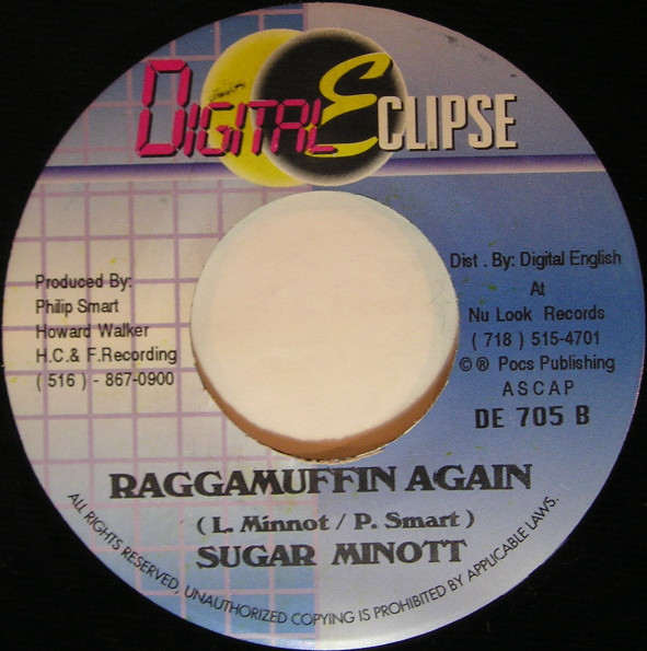 I Need A Girl / Raggamuffin Again