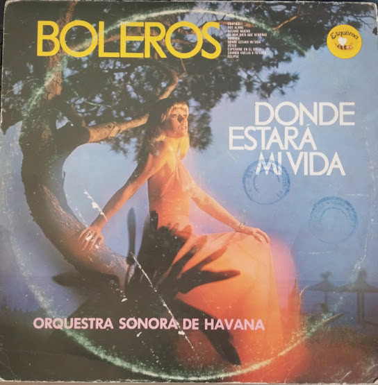 Boleros Donde Estará mi Vida