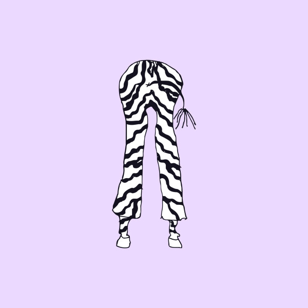 Zebra Leggings 