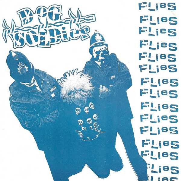 Flies