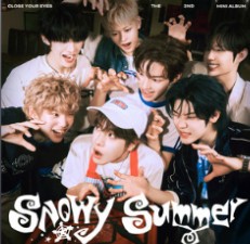 Snowy Summer