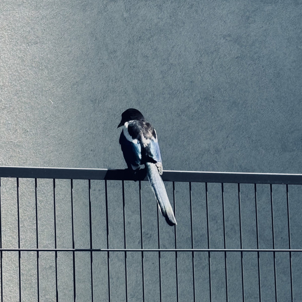 Nothing Of Emptiness