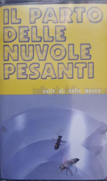 Sulle Ali Della Mosca