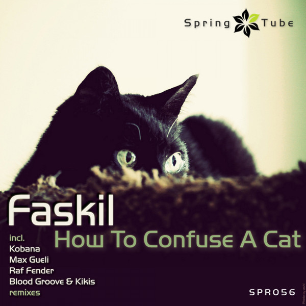 How To Confuse A Cat