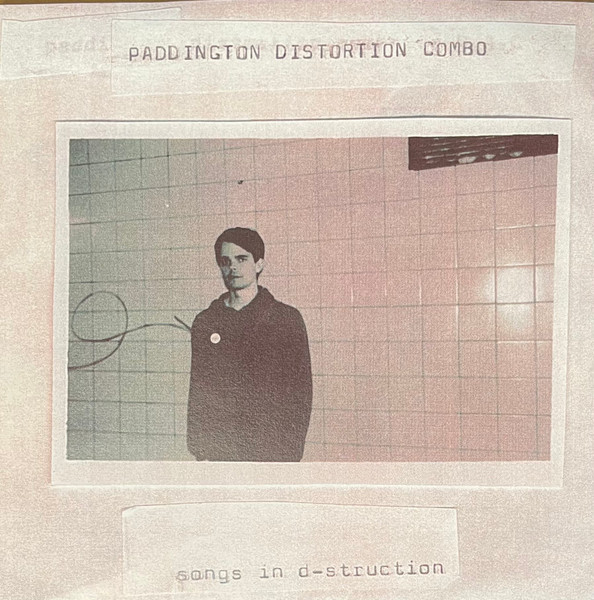 Songs In D-Struction
