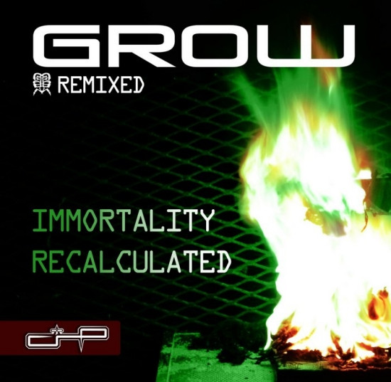 Immortality Recalculated Remixed
