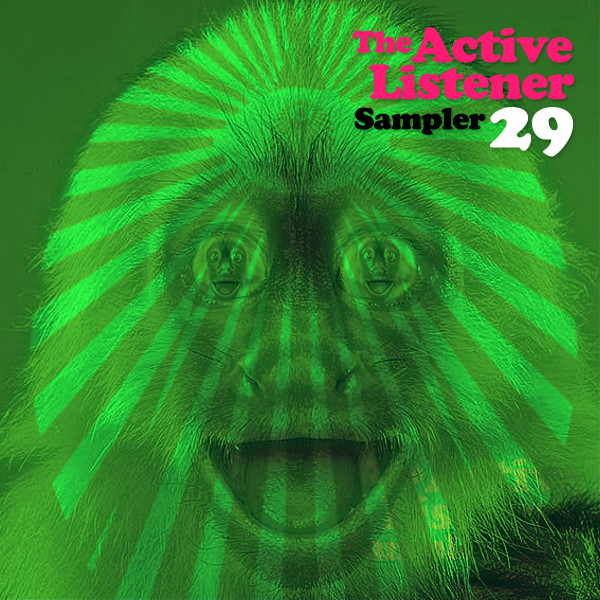  The Active Listener Sampler 29 