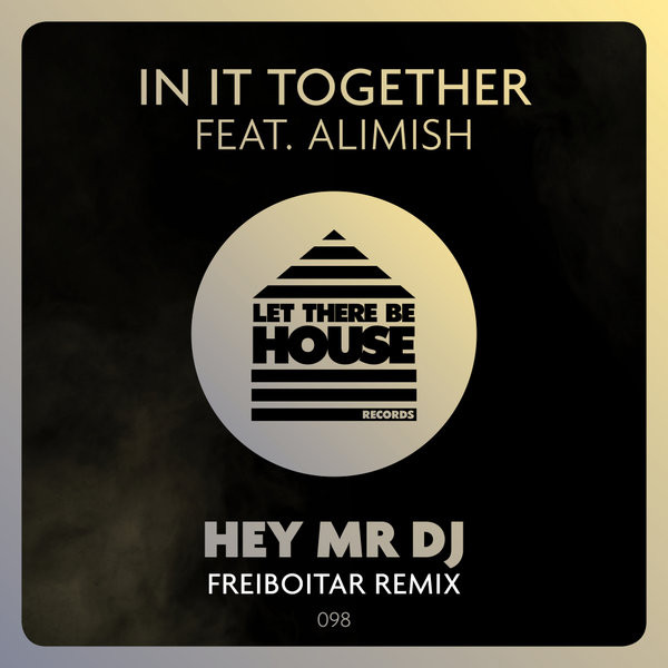Hey Mr DJ (Freiboitar Remix)